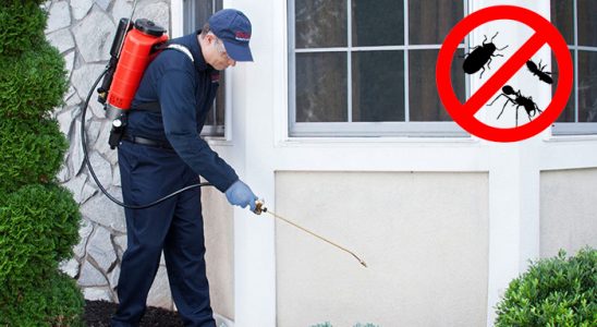 Beyşehir Uçan Haşere İlaçlama böcek ilaçlama ve haşere kontrolü — ilaclama-tr.com